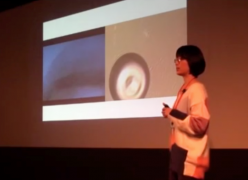 「FLUCTUATION AND SELF-ORGANIZATION – IT IS THE SMALL THINGS THAT MATTER」AT TEDXTSUKUBA